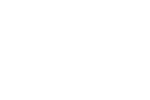 Logotipo Vida Plena 360 white,